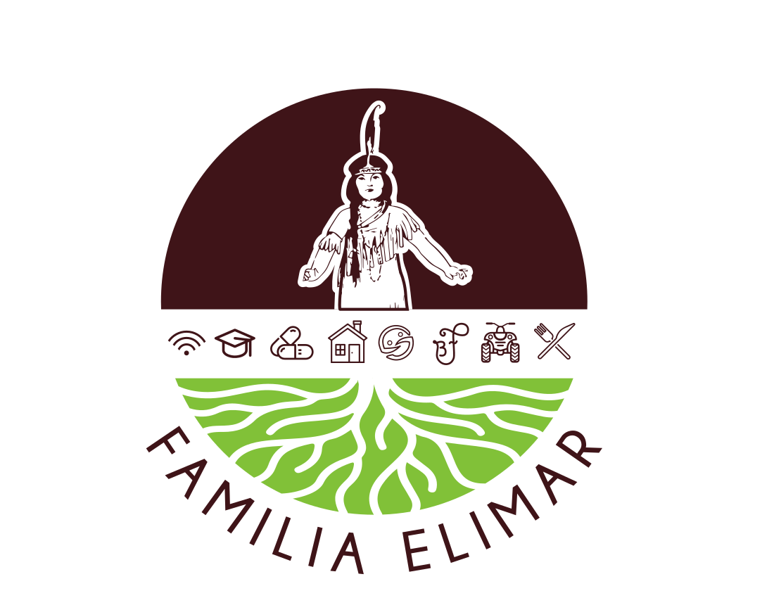 familiaelimar.facturaodoocr.com